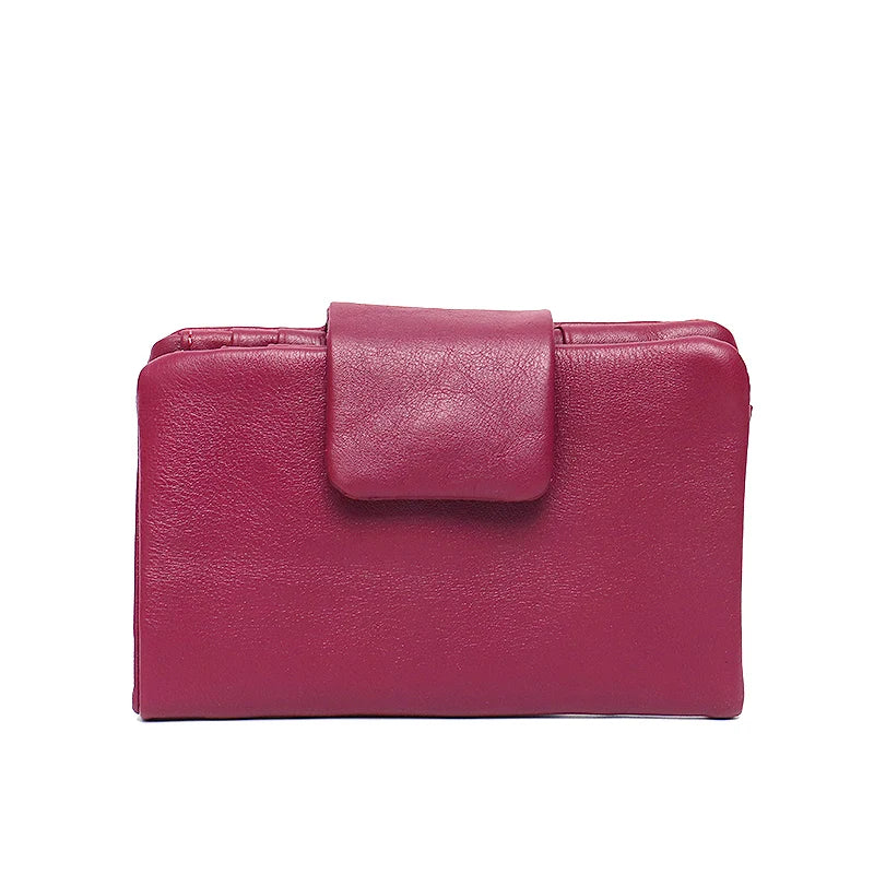 Minimal Snap Coin Wallet