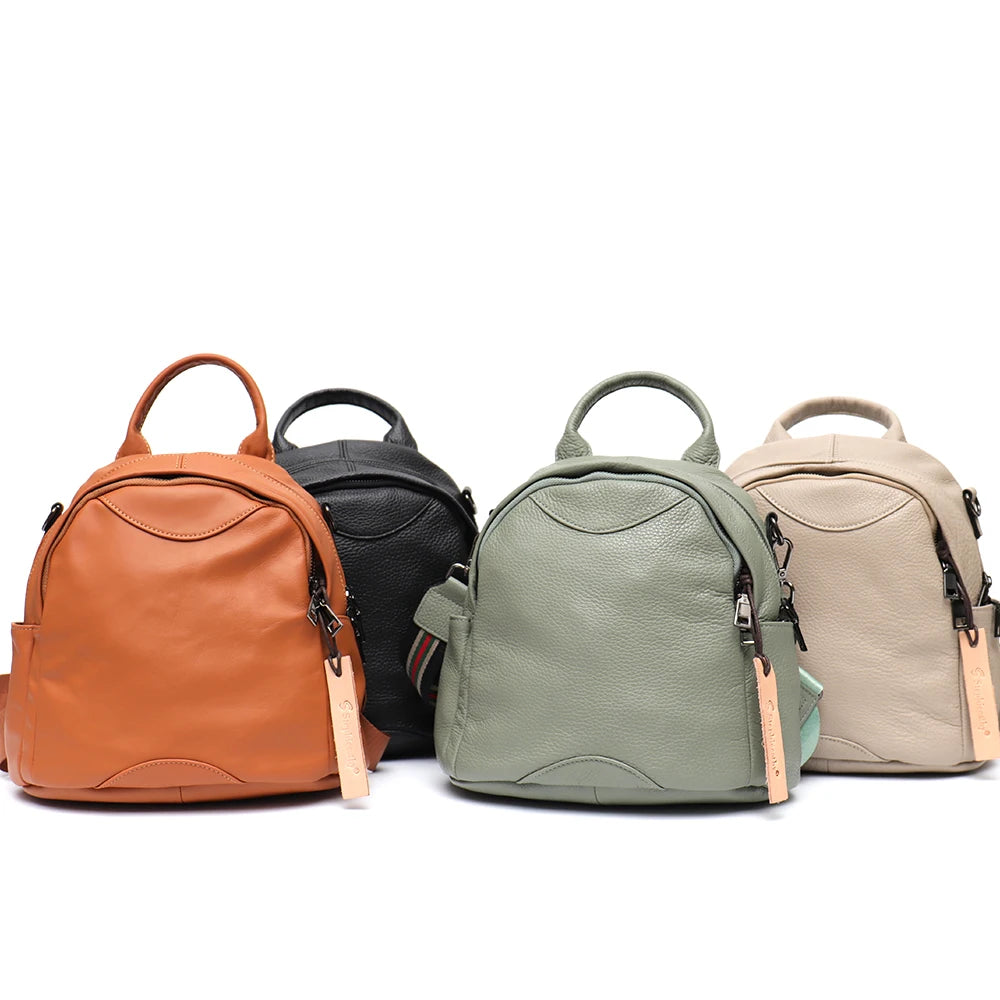 Compact Curved Backpack