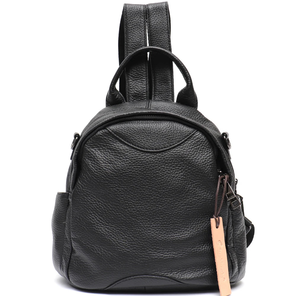 Compact Curved Backpack