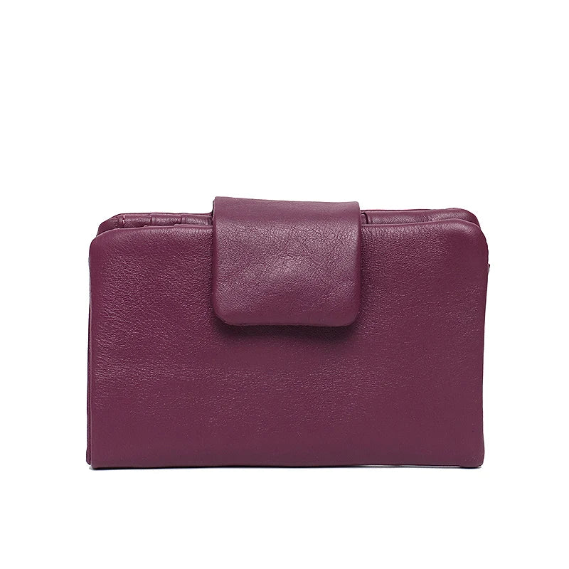 Minimal Snap Coin Wallet