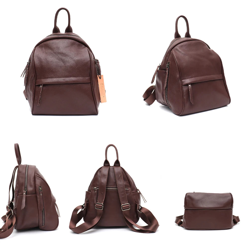 Rounded Everyday Backpack